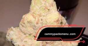 cammypacksmenu .com