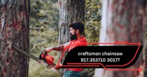 Craftsman Chainsaw 917.353710 30177 – A Comprehensive Guide